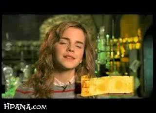 potterish_trellers_comerciais_hermione__02_.jpg