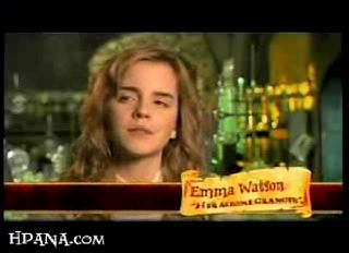 potterish_trellers_comerciais_hermione__0_1.jpg