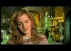 potterish_trellers_comerciais_hermione__242.jpg