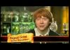 potterish_trellers_comerciais_hermione__2_2.jpg