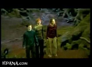 potterish_trellers_comerciais_intro__0_4.jpg