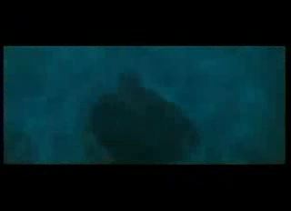 potterish_trellers_comerciais_intro__570.jpg potterish_trellers_comerciais_intro__570.jpg