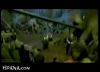 potterish_trellers_comerciais_intro__081.jpg