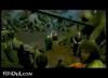 potterish_trellers_comerciais_intro__082.jpg