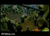 potterish_trellers_comerciais_intro__08_.jpg
