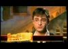 potterish_trellers_comerciais_luna__121.jpg