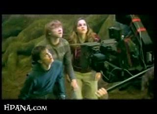 potterish_trellers_comerciais_rony_04_.jpg