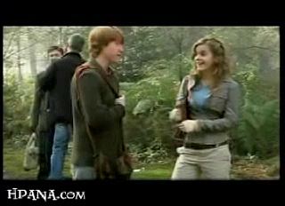potterish_trellers_comerciais_rony_087.jpg