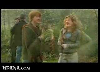 potterish_trellers_comerciais_rony_0_1~0.jpg