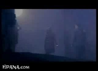 potterish_trellers_comerciais_sirius__00_.jpg