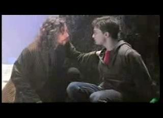 potterish_trellers_comerciais_sirius__208.jpg potterish_trellers_comerciais_sirius__208.jpg