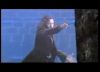 potterish_trellers_comerciais_sirius__25_.jpg
