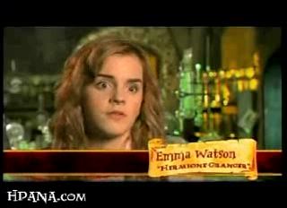 potterish_trellers_comerciais_wands__0_0.jpg
