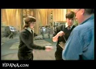 potterish_trellers_comerciais_wands__0_8.jpg