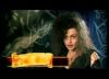 potterish_trellers_comerciais_wands__184.jpg