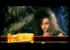 potterish_trellers_comerciais_wands__186.jpg