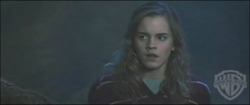 potterish_trelerecomeciais_teaser__0650.jpg