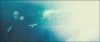 potterish_trelerecomeciais_teaser__0684.jpg