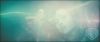 potterish_trelerecomeciais_teaser__0688.jpg