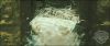 potterish_trelerecomeciais_teaser__086_.jpg