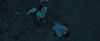 treiler2_odf_potterish__020.jpg