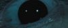 treiler2_odf_potterish__060.jpg