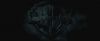 treiler2_odf_potterish__07_~0.jpg
