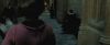 treiler2_odf_potterish__126.jpg