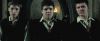 treiler2_odf_potterish__141.jpg