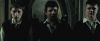 treiler2_odf_potterish__145.jpg