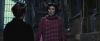 treiler2_odf_potterish__162.jpg