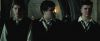 treiler2_odf_potterish__1_8.jpg