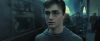 treiler2_odf_potterish__212.jpg
