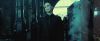 treiler2_odf_potterish__214.jpg