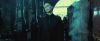 treiler2_odf_potterish__21_.jpg