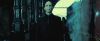treiler2_odf_potterish__220.jpg