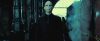 treiler2_odf_potterish__221.jpg