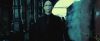 treiler2_odf_potterish__222.jpg