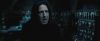 treiler2_odf_potterish__441.jpg