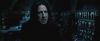 treiler2_odf_potterish__442.jpg