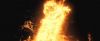 treiler2_odf_potterish__46_~0.jpg