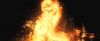 treiler2_odf_potterish__471.jpg