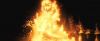 treiler2_odf_potterish__472.jpg