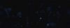 treiler2_odf_potterish__4_7~0.jpg
