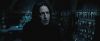 treiler2_odf_potterish__4__~0.jpg
