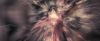 treiler2_odf_potterish__518.jpg