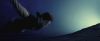 treiler2_odf_potterish__522.jpg