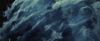 treiler2_odf_potterish__527.jpg
