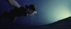 treiler2_odf_potterish__52_.jpg
