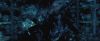 treiler2_odf_potterish__552.jpg